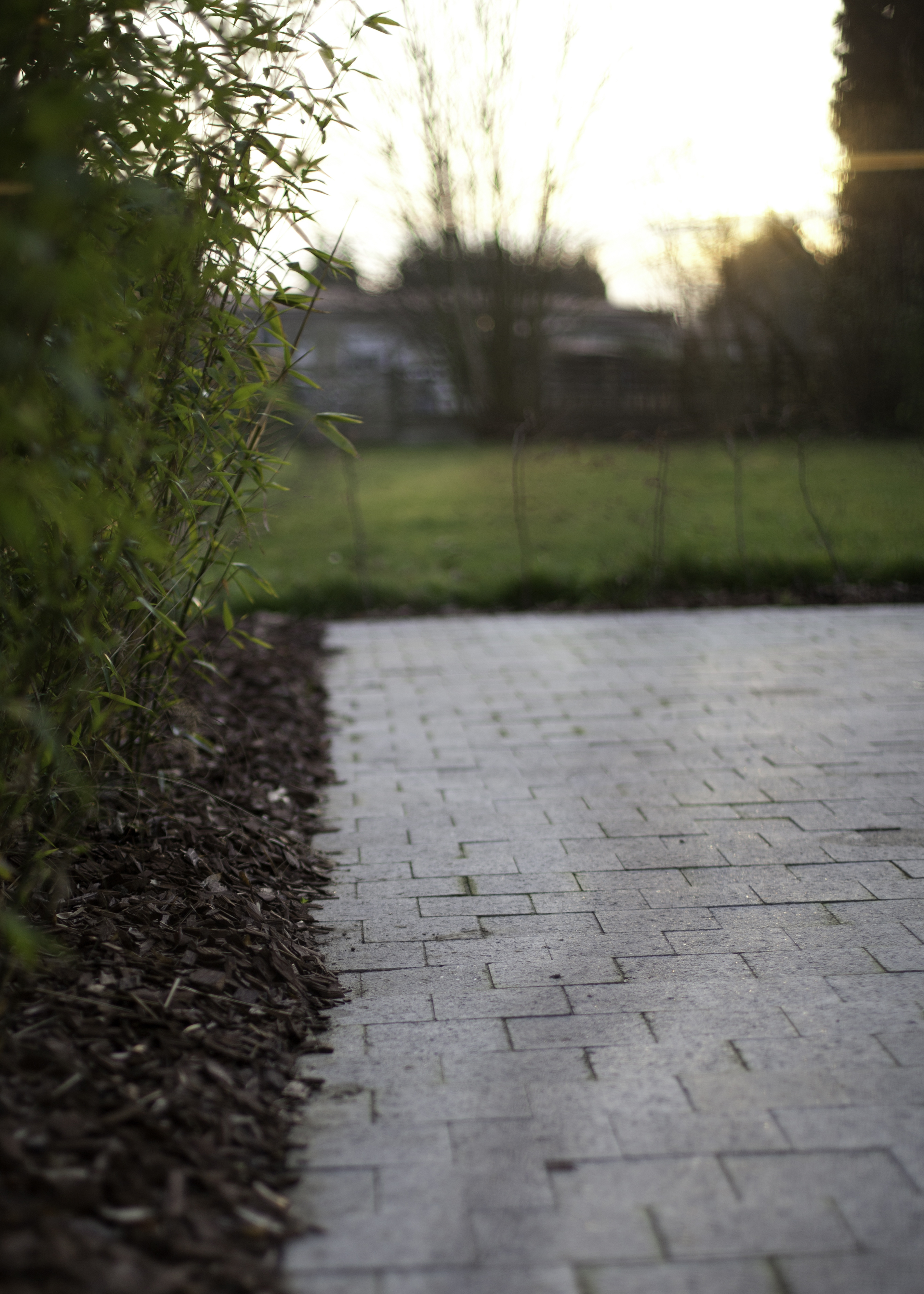 terrasse pavé béton gris