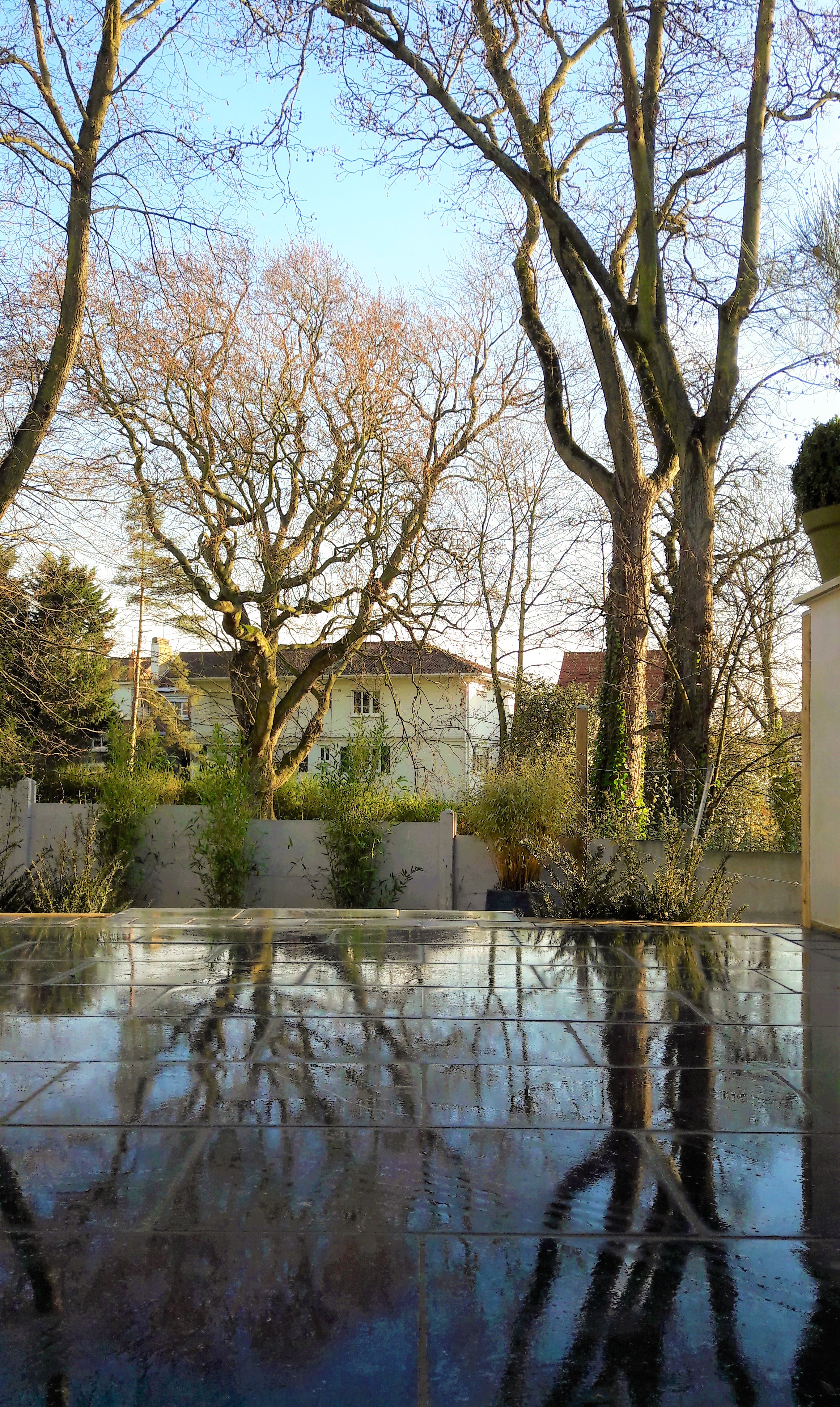 terrasse en pierre bleue avec vue sur le jardin et les nouvelles plantations.