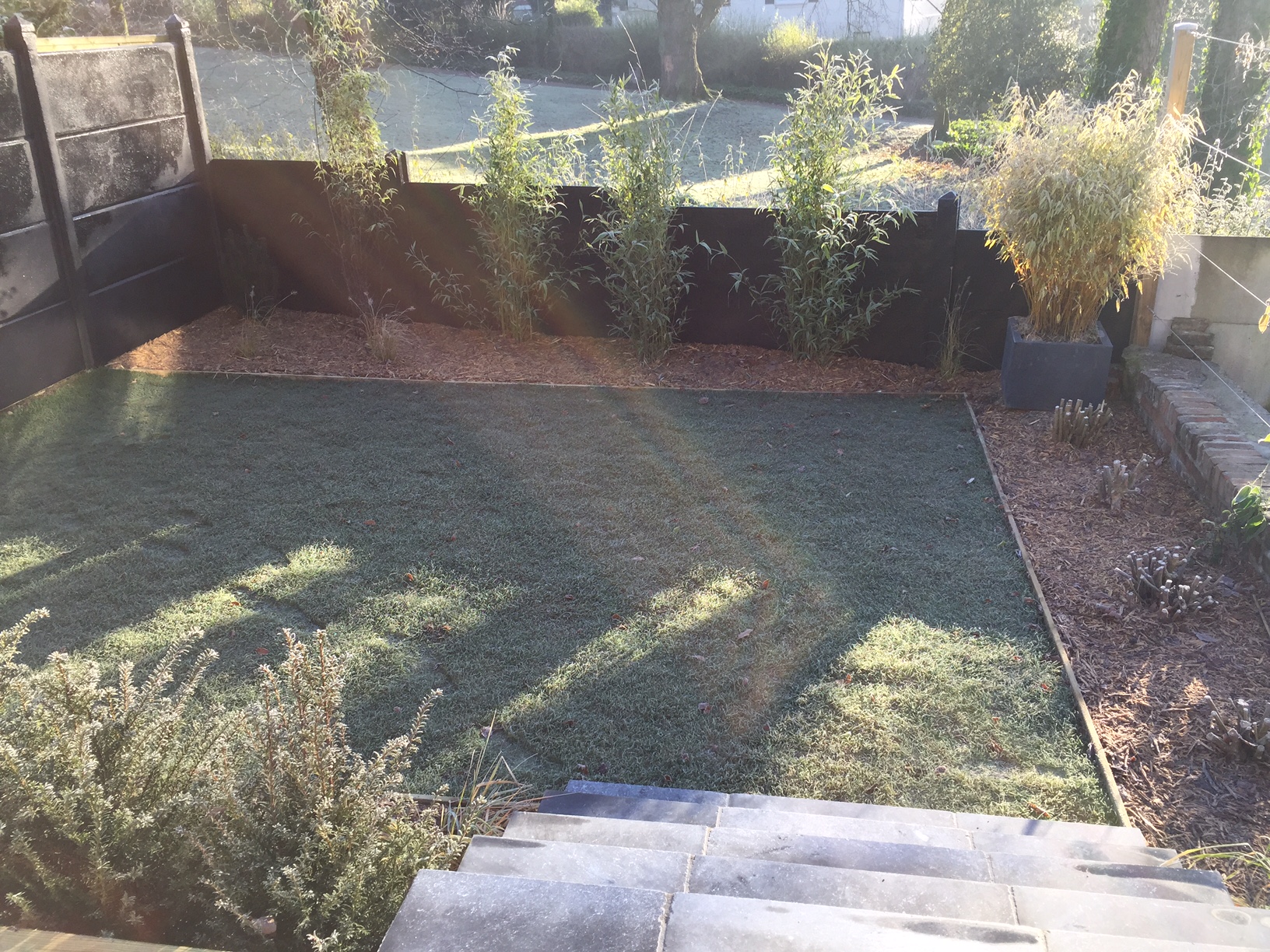 Jardin de Béthune avec gazon de placage, terrasse en pierre bleue.