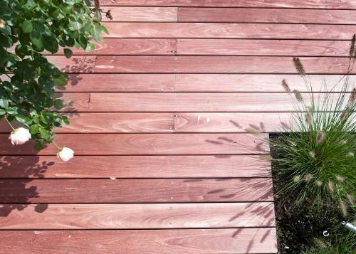 Arbrecreation entreprise paysagiste terrasse bois ipé avec graminees penissetum